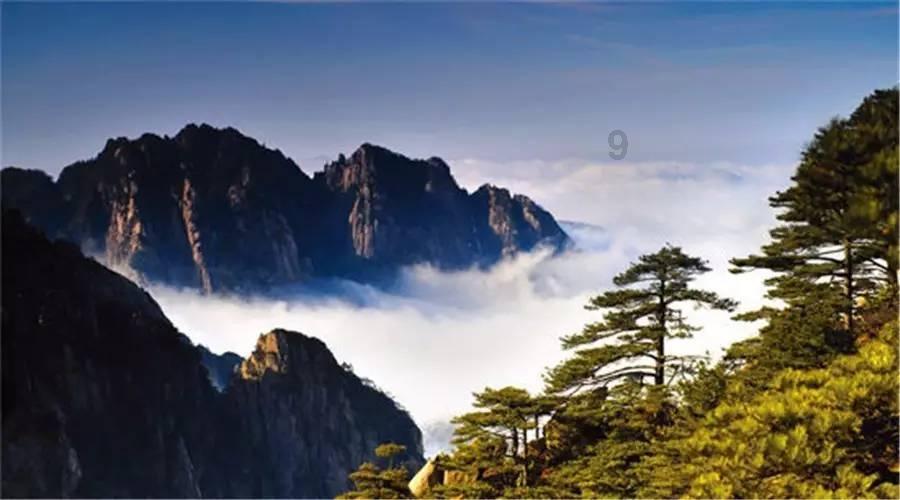 梅建华当选山东省政协副主席