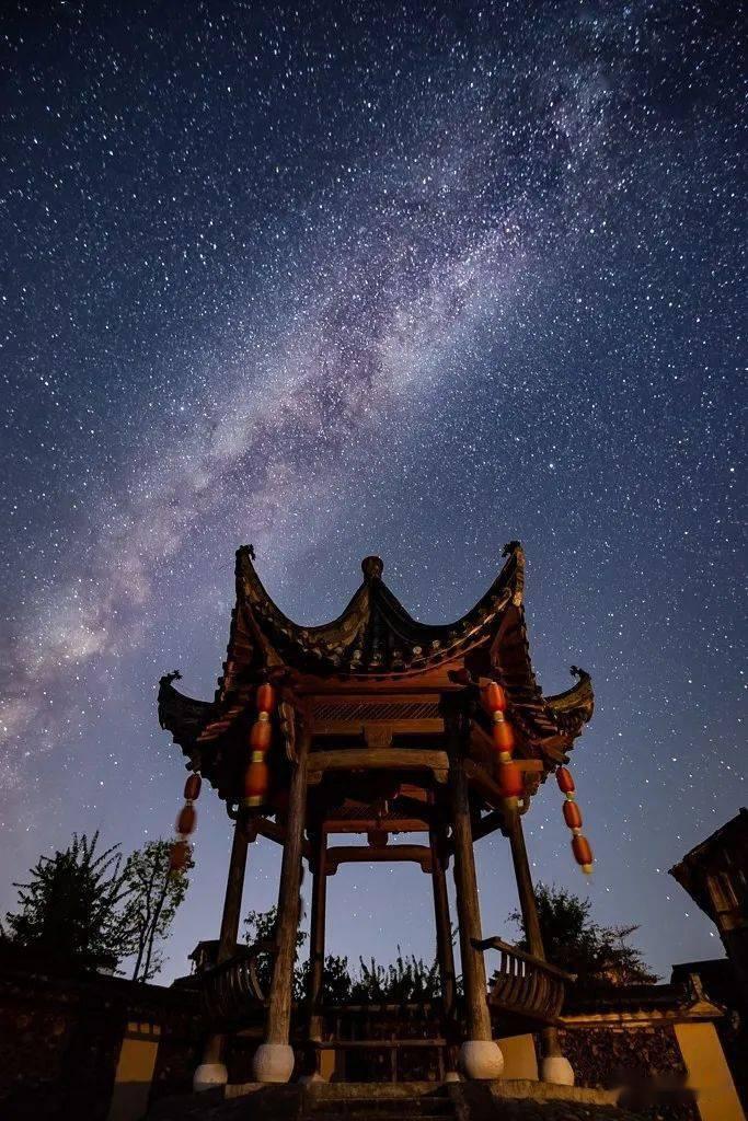 受困的西红柿