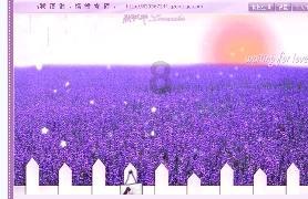 天天趣抓