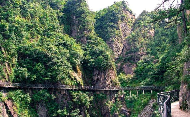 漂亮鹦鹉救援
