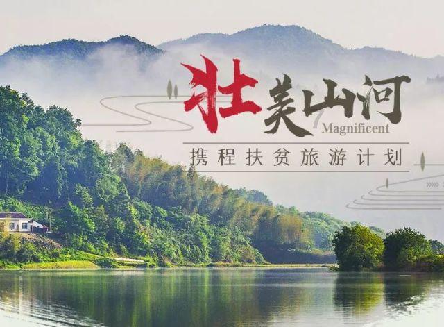 逃出蜜蜂岛
