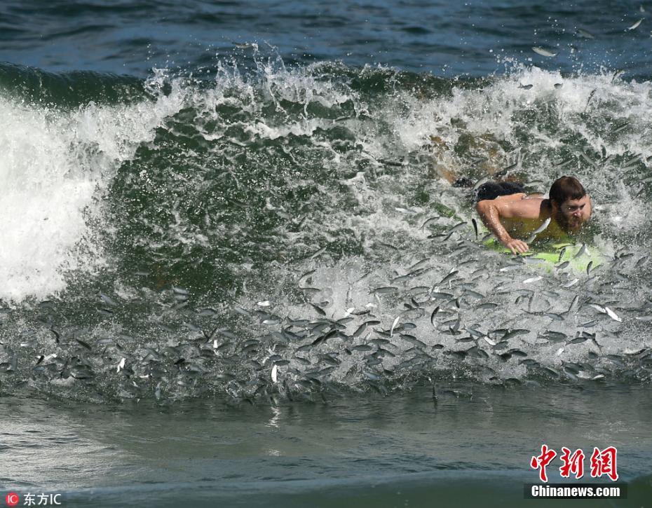 为什么出光IFG系列机油能成为日系车车主的“心头好”?