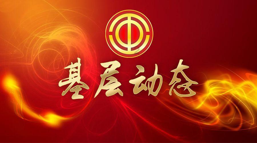 奥利维亚收养猫