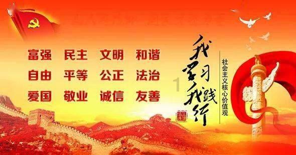 猫猫冒险团