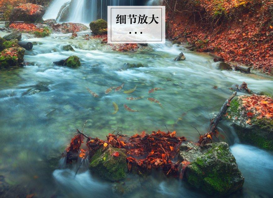 召唤神龙万宁版祖龙