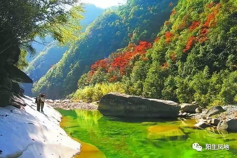 春节买车回家过年 启源A07对比海豹DM-i 18万级主流家轿该选谁?