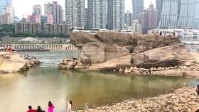 七台河积极发挥网络名人作用 凝心聚力绘就七台河冰雪旅游新画卷