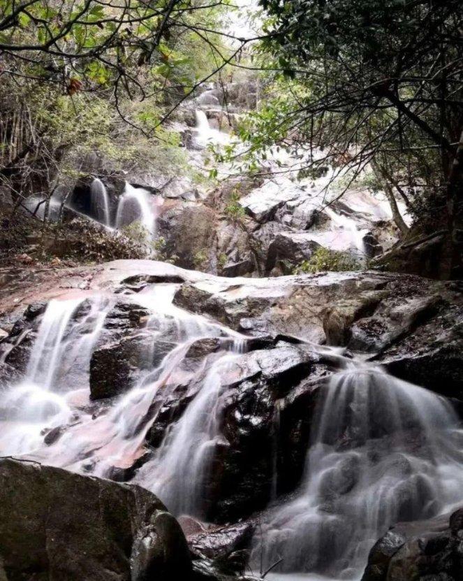 拯救红松鼠