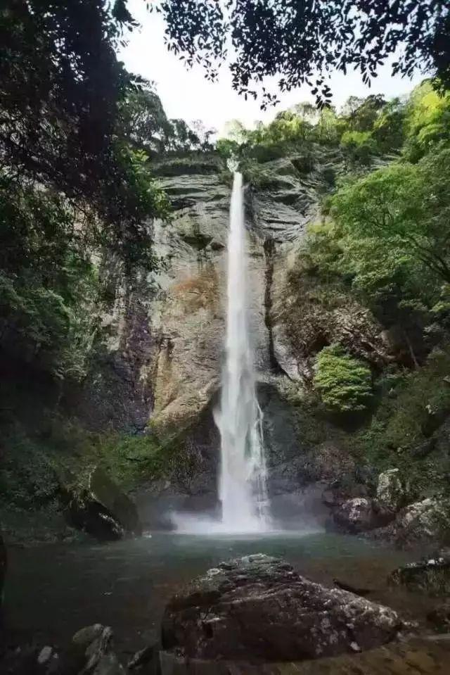 海底世界填颜色3