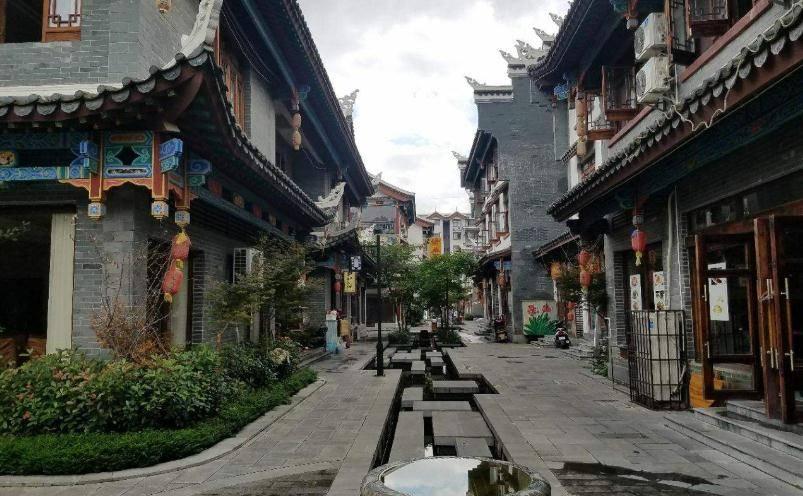 救援受困的鬃狼