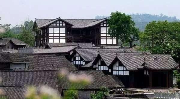 寻找沙漠珍宝