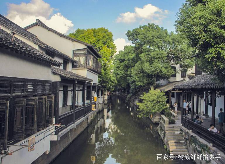 小僵尸射飞鸟