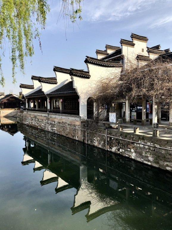 年夜饭无论炖啥鱼,要牢记多加这1步,炖好鱼肉又鲜又嫩还没腥味