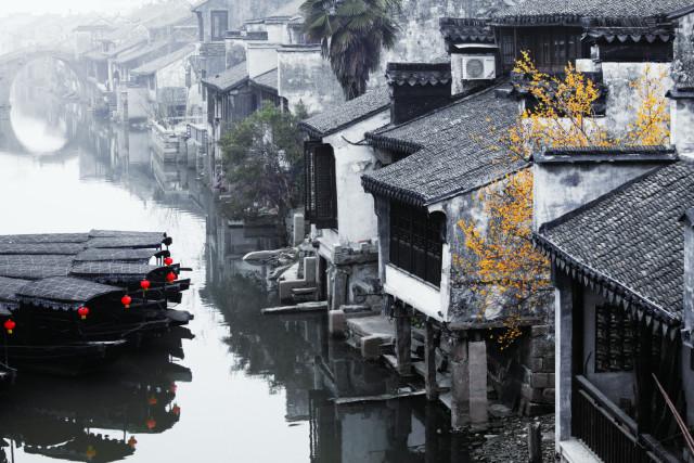 春雨直播app