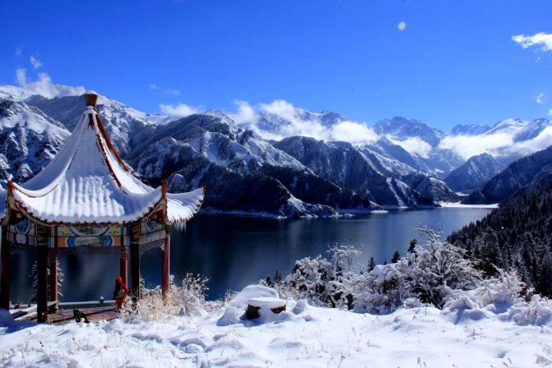 月光影视